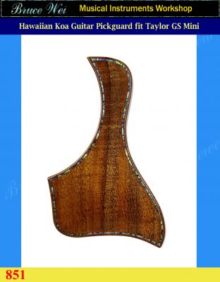 Fit Taylor GS Mini, 5