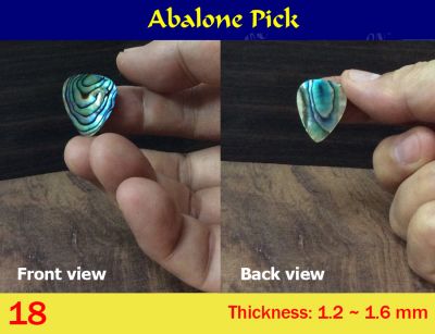 Free Shipping, Green Abalone Pick 1pc, Bruce Wei (18) 