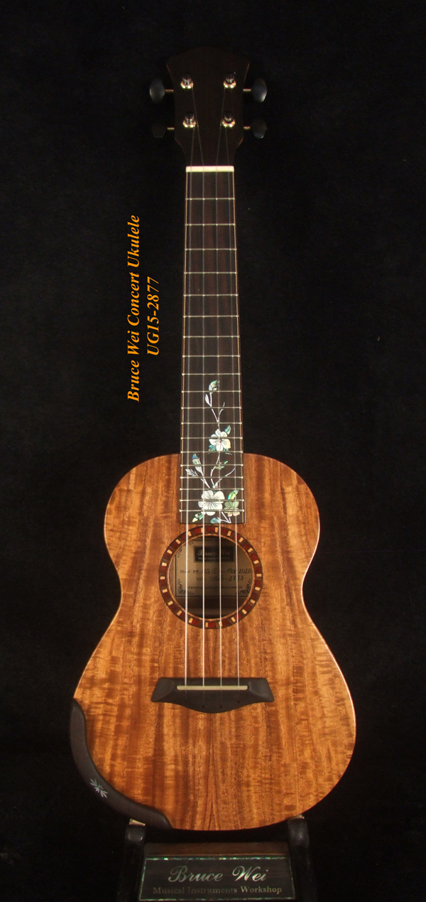 Curly Acacia Concert Ukulele,Worth String MOP Inlay UG152877